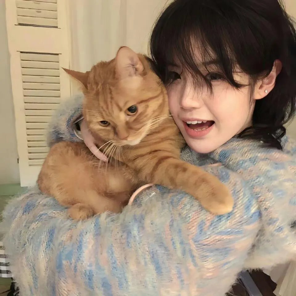 三宝联盟富婆妈咪不好追